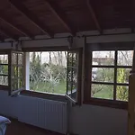 Beta 2*