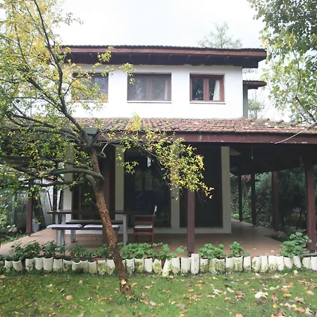 Otel Beta