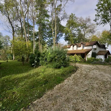 Beta 2* Sapanca